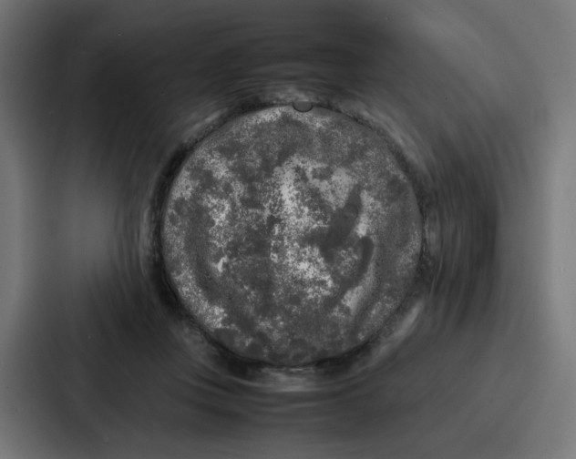 X0000087320359200705112141