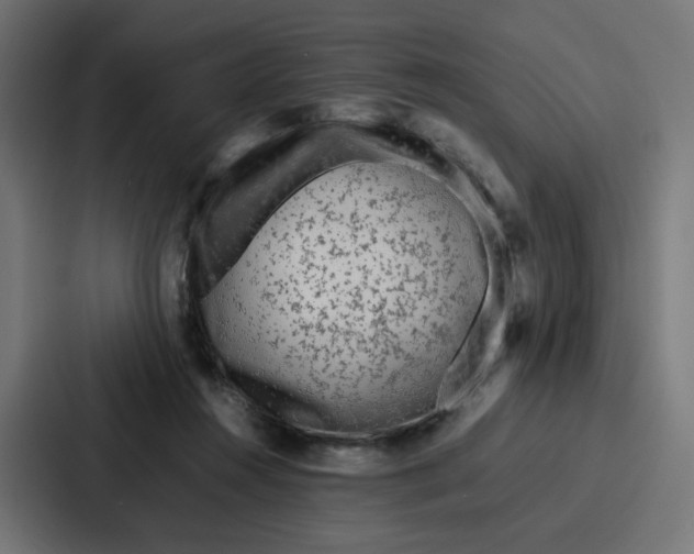 X0000087320360200705112141