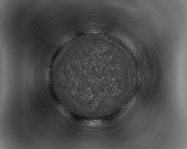 X0000087320361200705112141