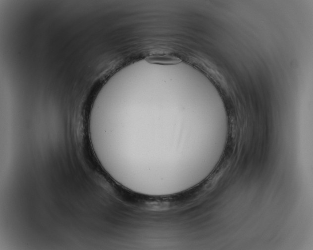 X0000087320362200705112141