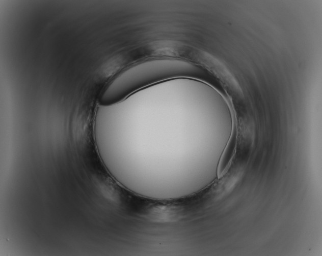 X0000087320364200705112141