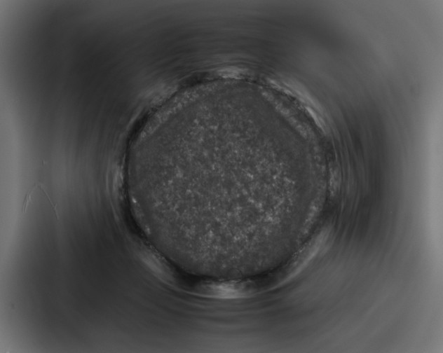 X0000087320365200705112141