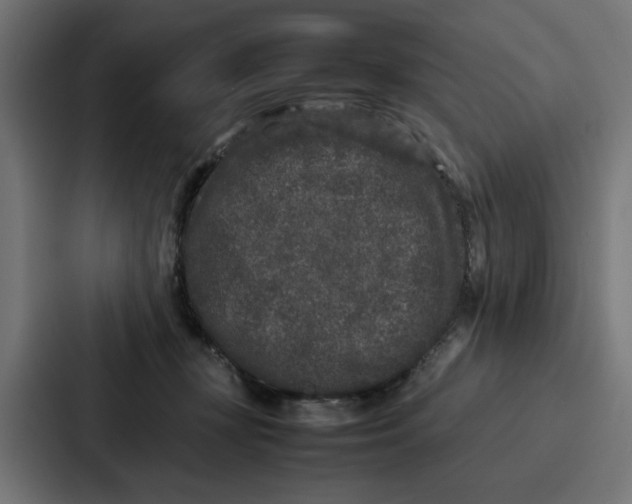 X0000087320367200705112141