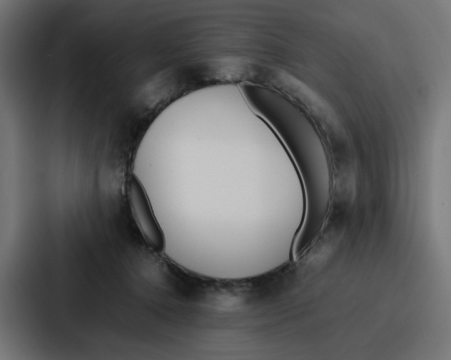 X0000087320368200705112142