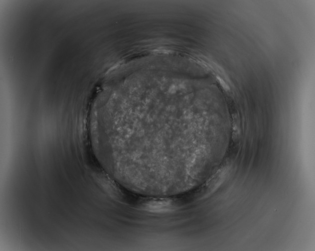 X0000087320369200705112142