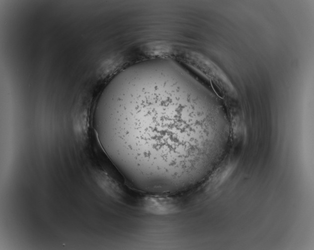 X0000087320372200705112142