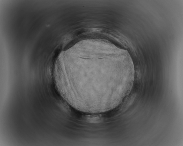 X0000087320373200705112142