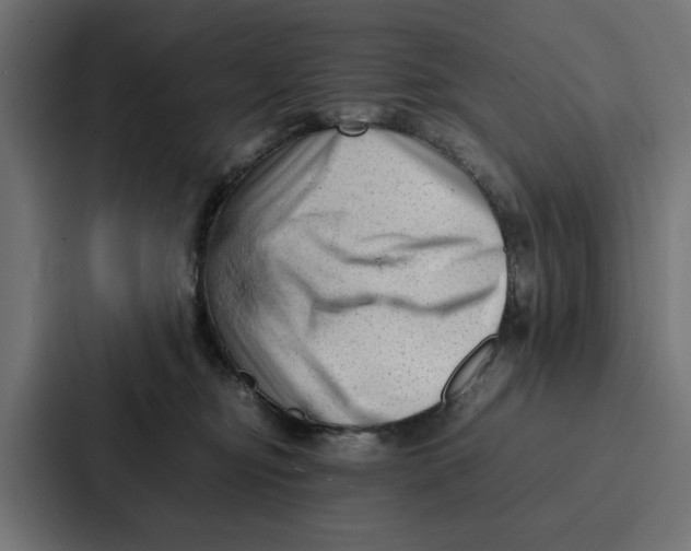 X0000087320374200705112142