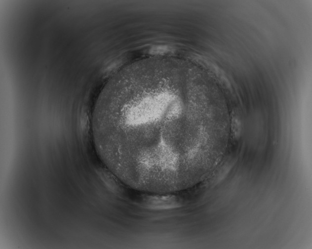 X0000087320375200705112142