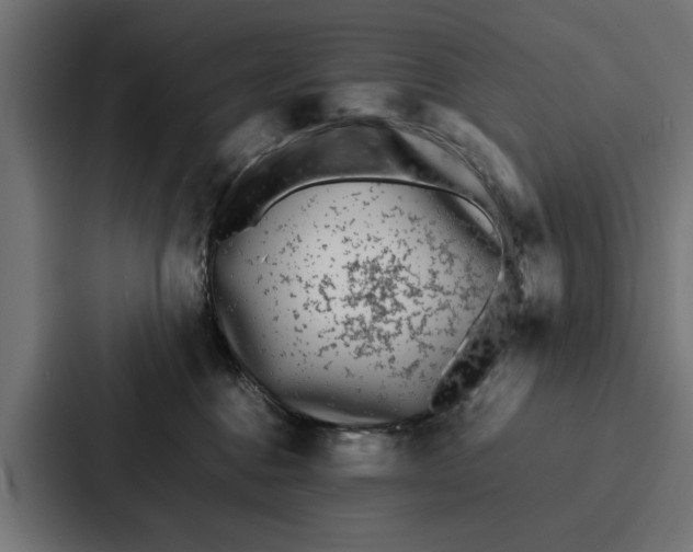 X0000087320376200705112142