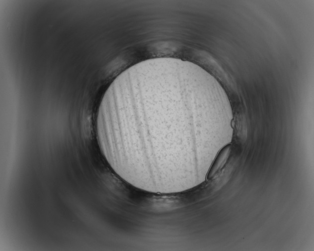 X0000087320378200705112142