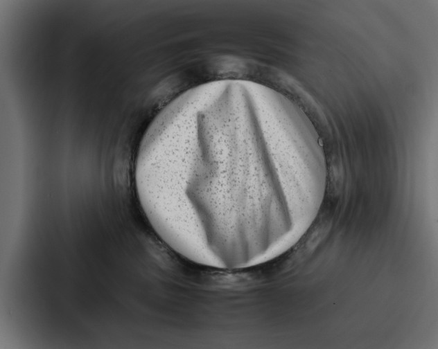 X0000087320379200705112142