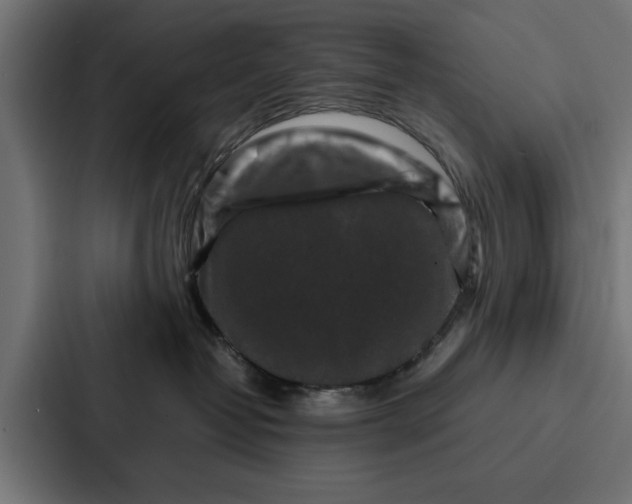 X0000087320382200705112142