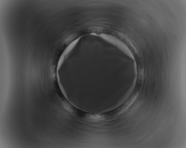 X0000087320383200705112142