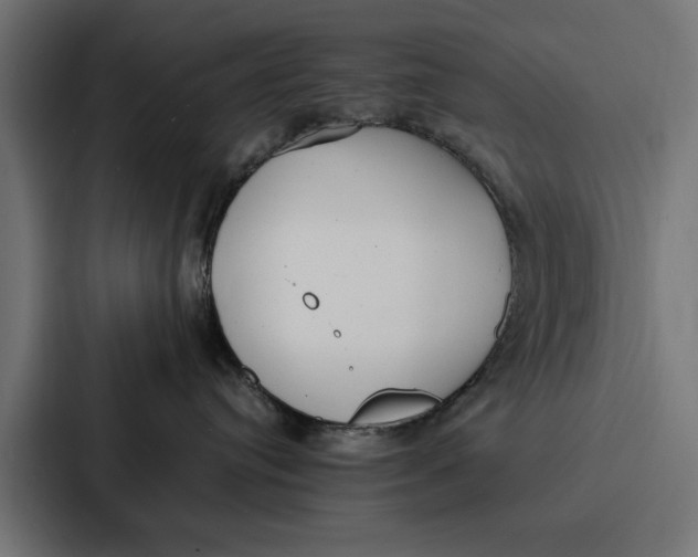 X0000087320384200705112142