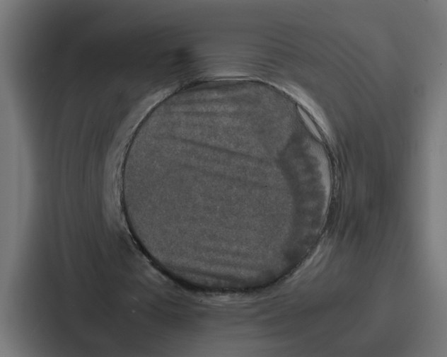 X0000087320385200705112141