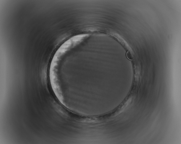 X0000087320386200705112141