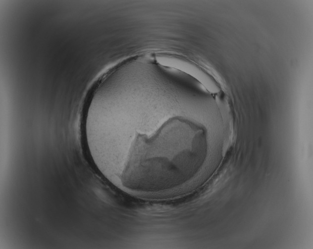 X0000087320387200705112141