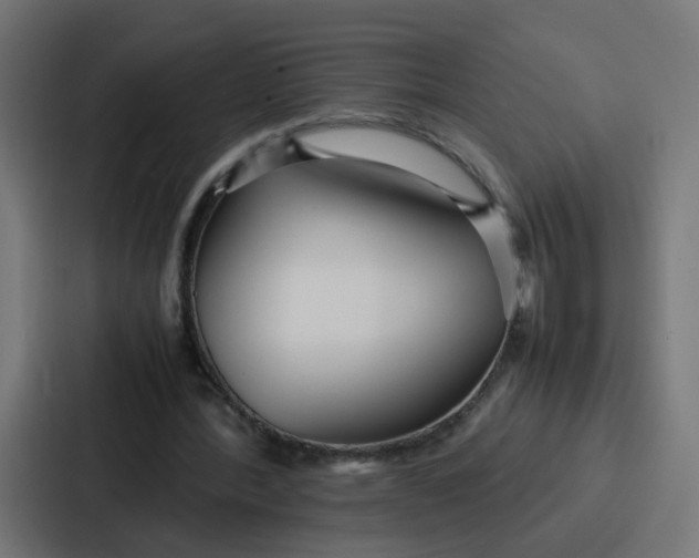 X0000087320388200705112141