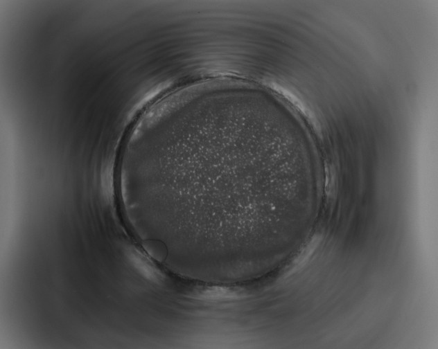 X0000087320390200705112141