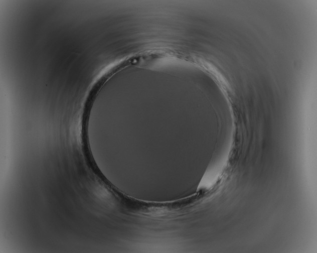 X0000087320391200705112141