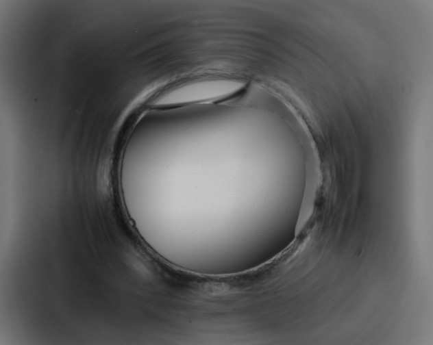 X0000087320392200705112141