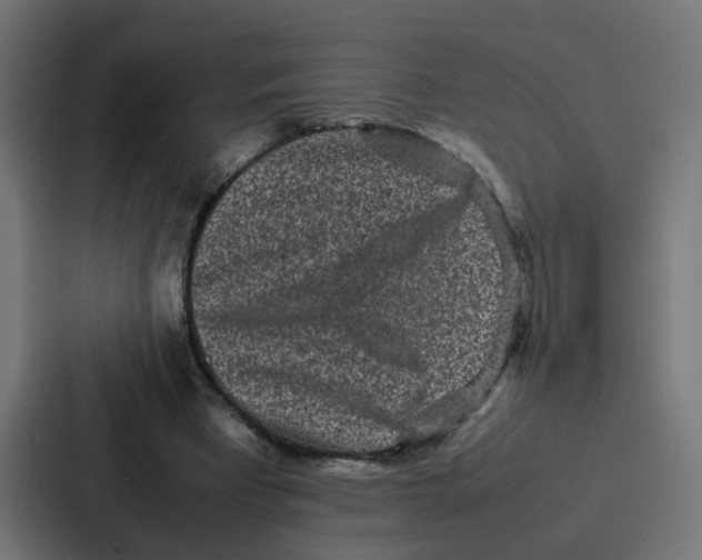 X0000087320393200705112141