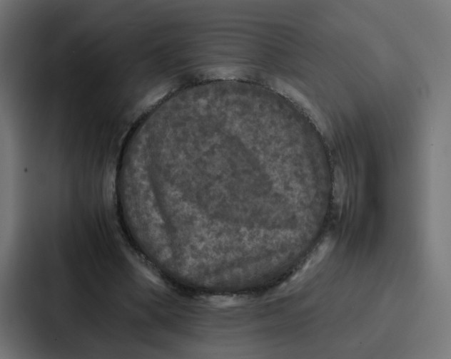 X0000087320394200705112141