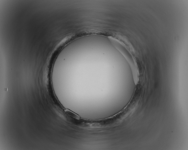 X0000087320395200705112141