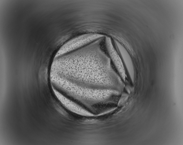 X0000087320397200705112141