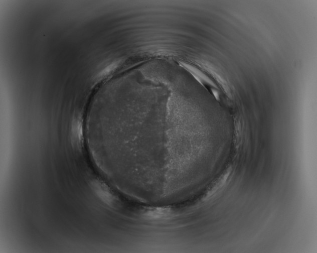 X0000087320398200705112141