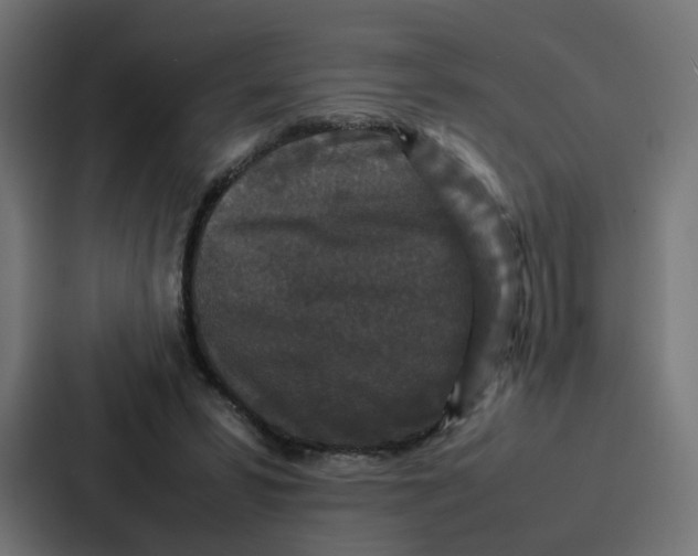 X0000087320399200705112141