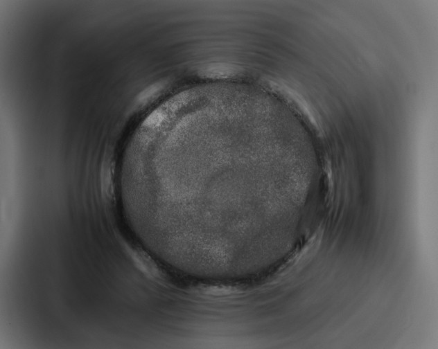 X0000087320400200705112141