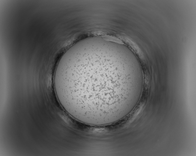 X0000087320401200705112141