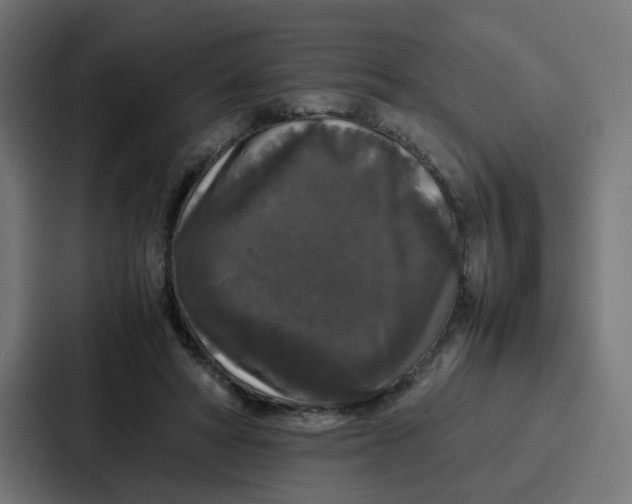 X0000087320402200705112141