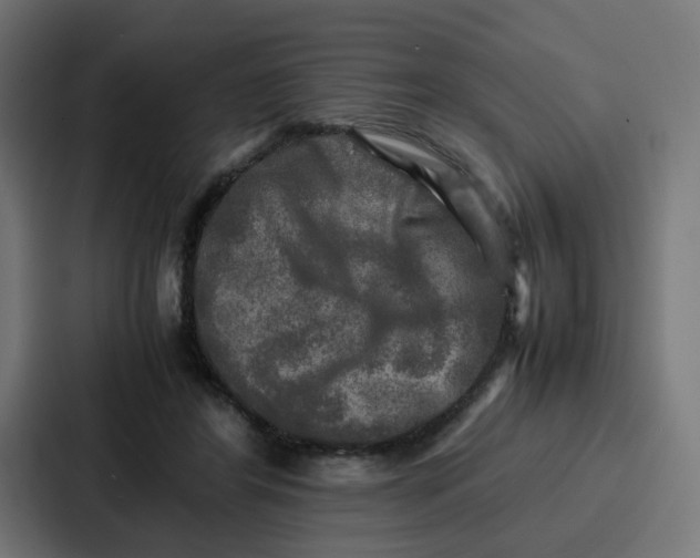 X0000087320404200705112141