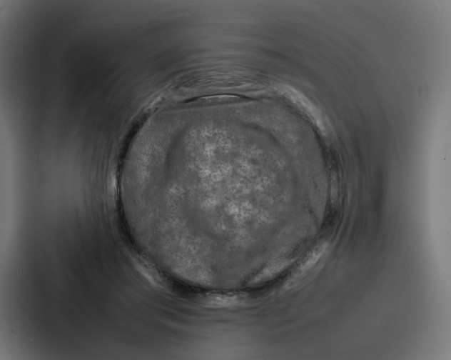 X0000087320405200705112141