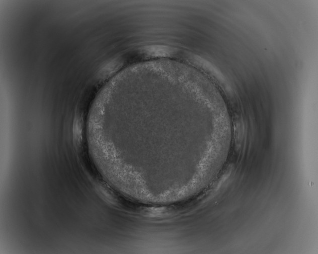 X0000087320406200705112141