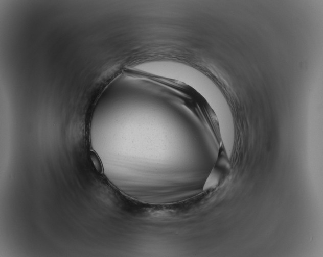 X0000087320407200705112141