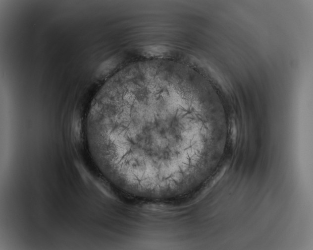 X0000087320408200705112141