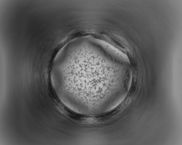 X0000087320409200705112141