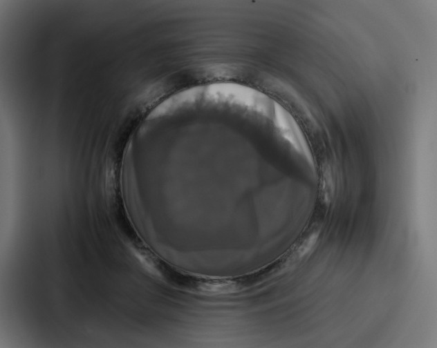 X0000087320410200705112141