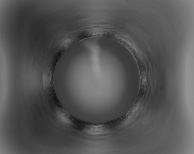 X0000087320411200705112141