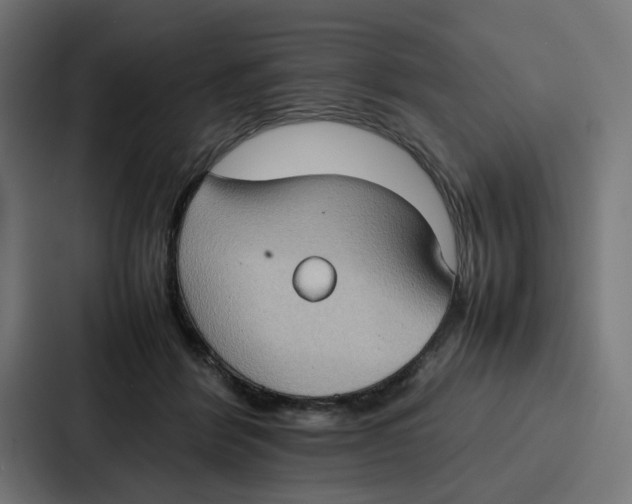 X0000087320412200705112141