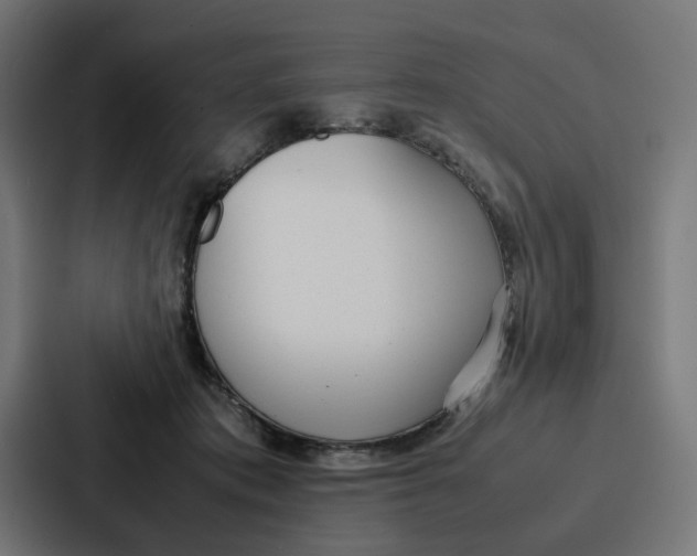 X0000087320413200705112141