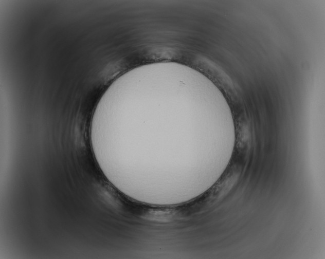 X0000087320414200705112141