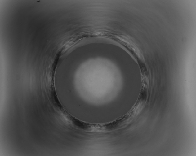 X0000087320415200705112141