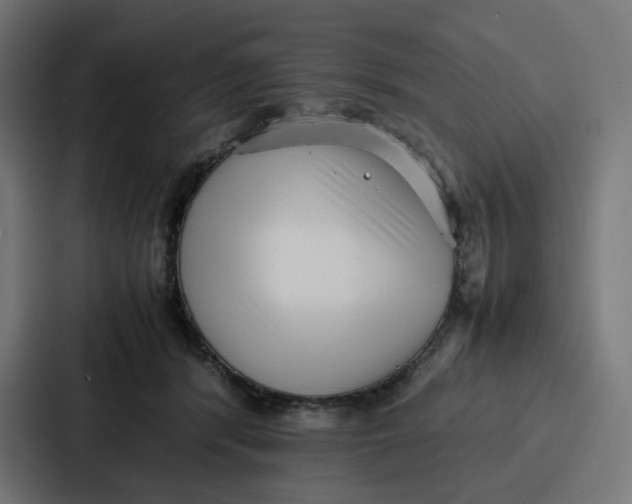 X0000087320416200705112141