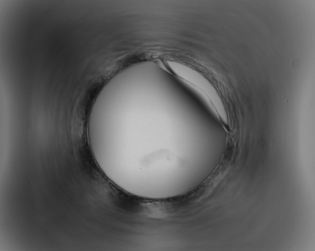 X0000087320417200705112141