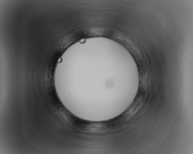 X0000087320418200705112141